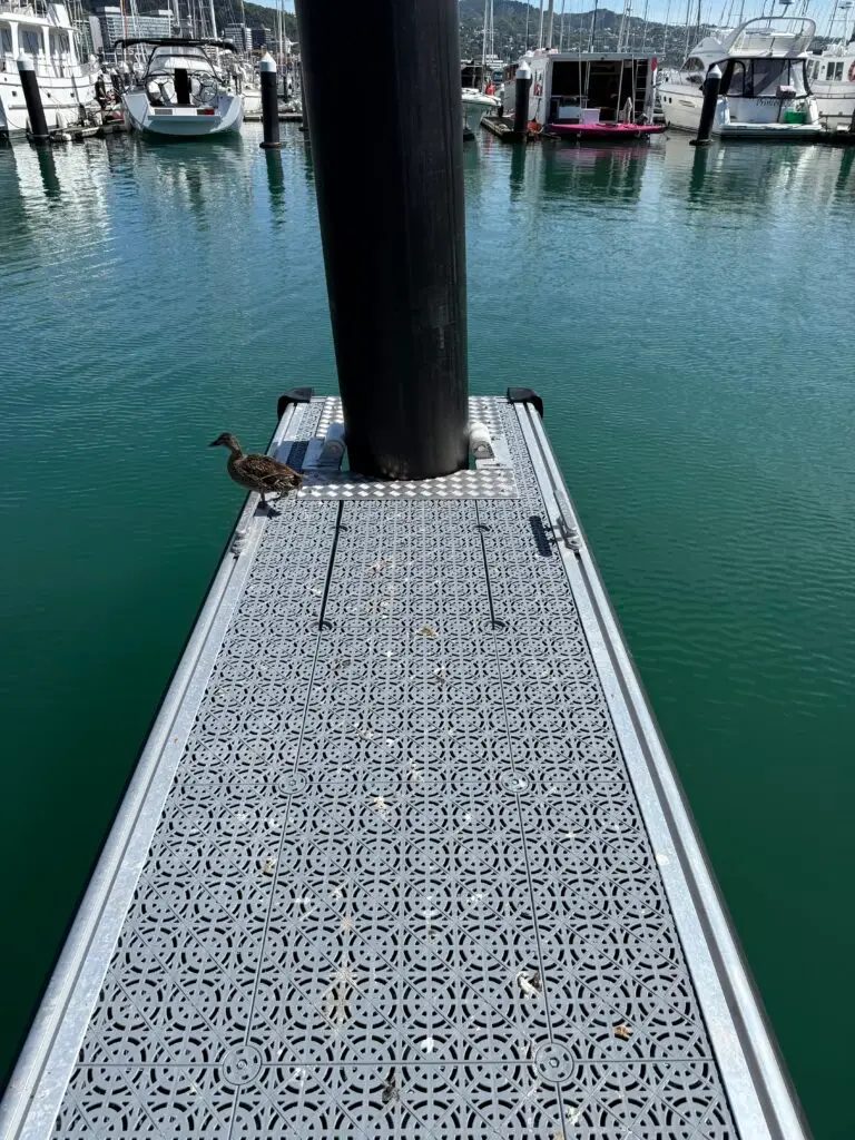 Pier A replacement: Pontoon decking and pile close up, 10 December 2024
