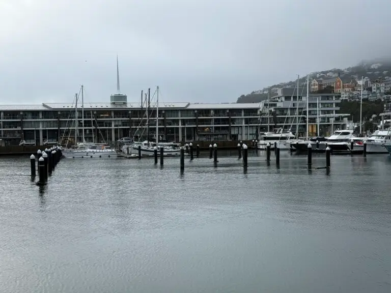 Pier B replacement: Pier works overview, 12 June 2025