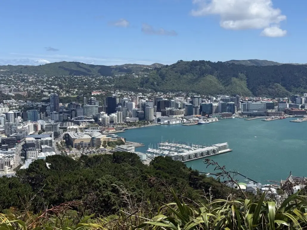 Wellington city and harbour from Mt Victoria, with Chaffers Marina and Clyde Quay Wharf in the centre