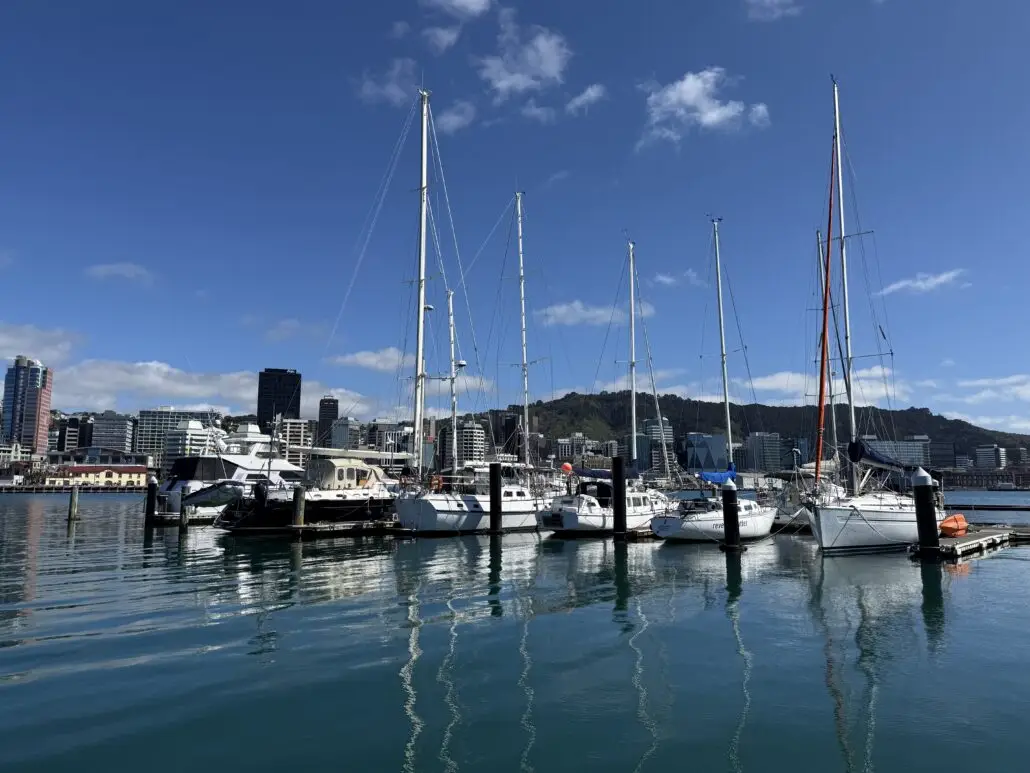 Yachts moored at Chaffers Marina on a calm day, with the Wellington city towers behind