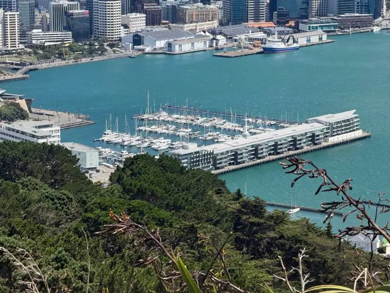 Chaffers Marina and Wellington harbour seen from Mt Victoria